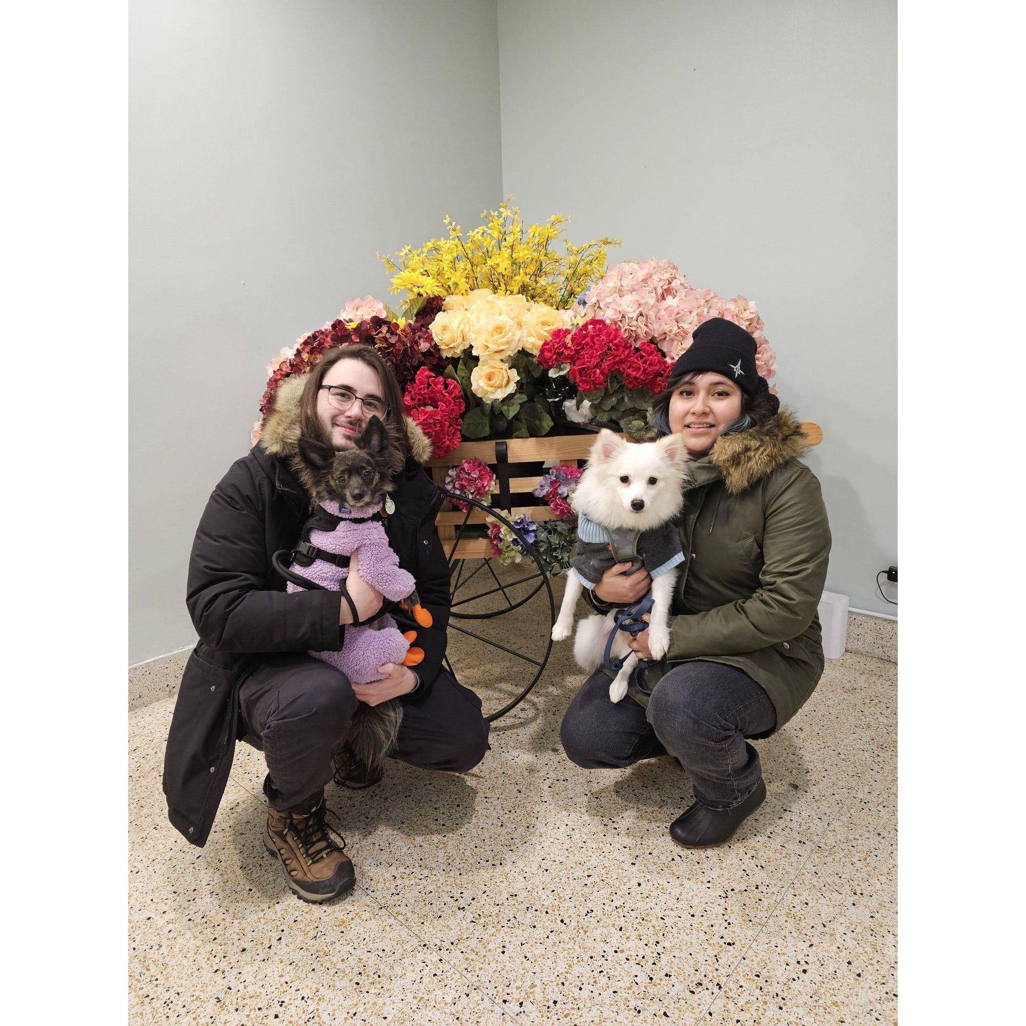 Our first family photo, pups and all
