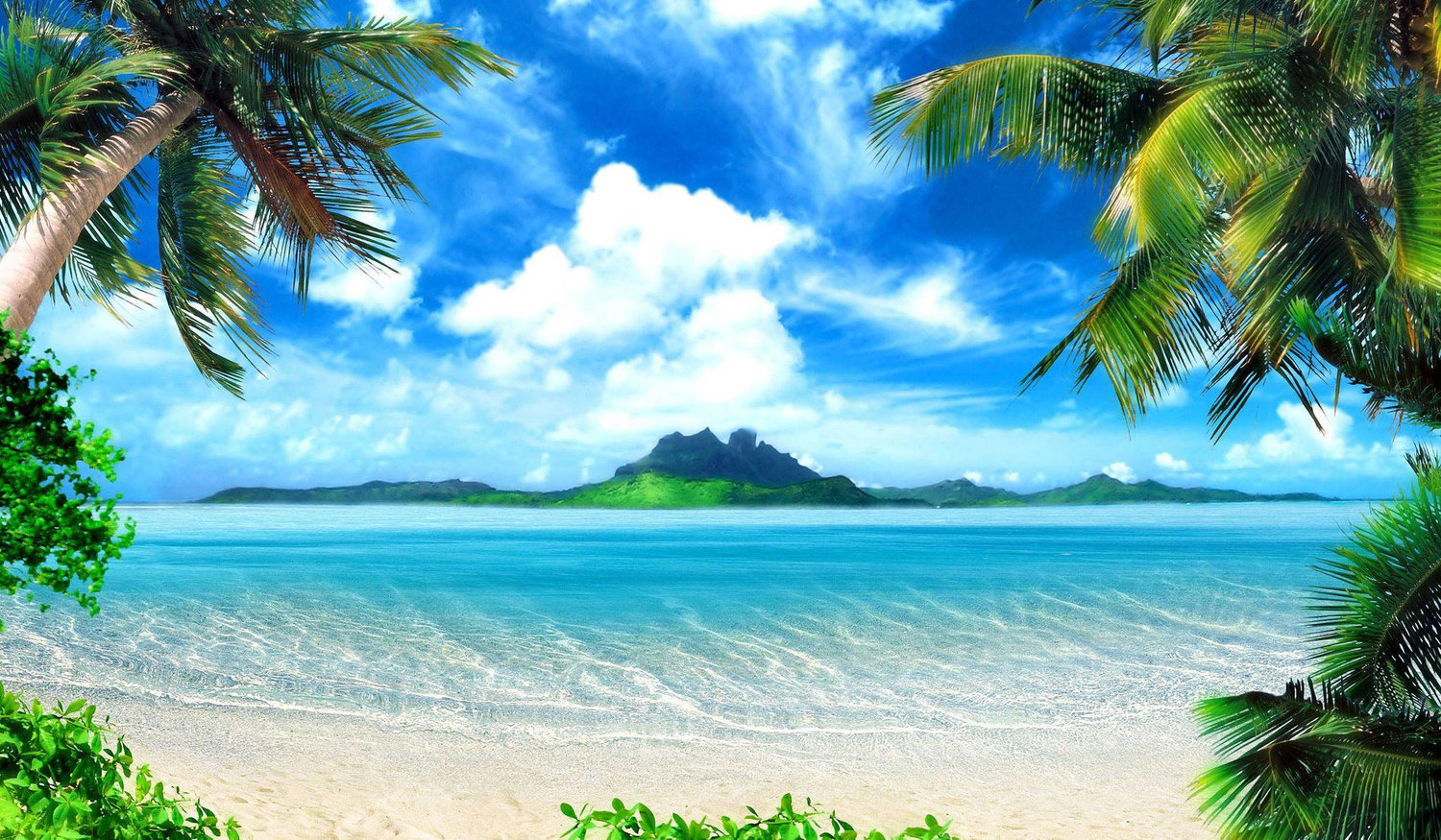 Footer image