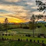 Parker-Binns Vineyard (~20 mins)