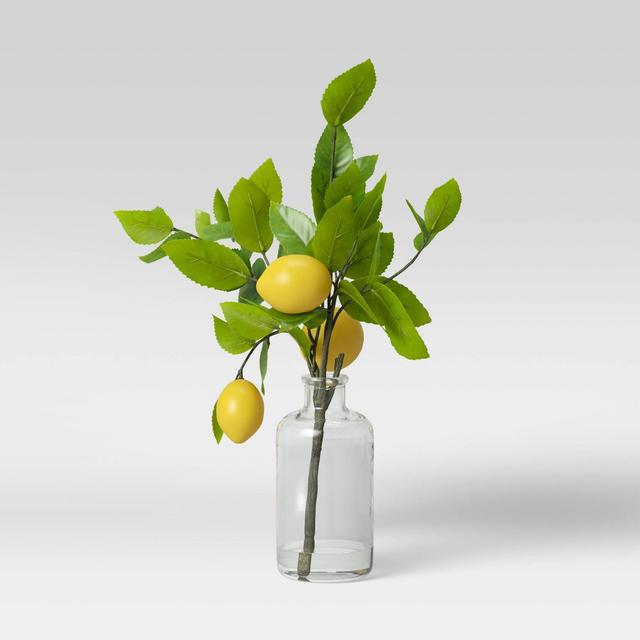 16" x 9" Artificial Lemon Plant Arrangement in Glass Vase - Threshold™