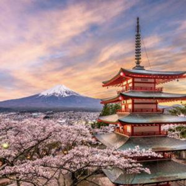 Our Honeymoon Fund to Japan!