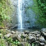 Manoa Falls