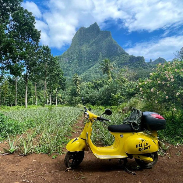 Moped Scooter Rental for 3 days on Moorea