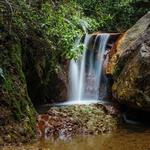 Parque Nacional La Tigra