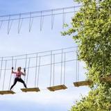 Go Ape Zipline and Adventure Park