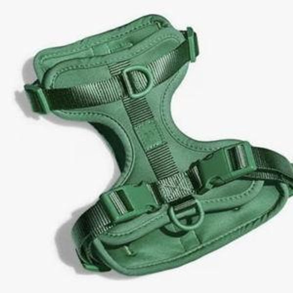 Cushioned Harness + Hands-Free Rope Leash Walk Kit