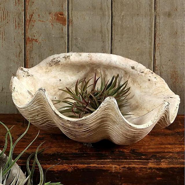 HomArt Cement Cast Clam Shell - Antique White … (1)
