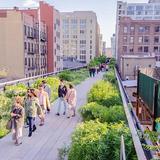 High Line