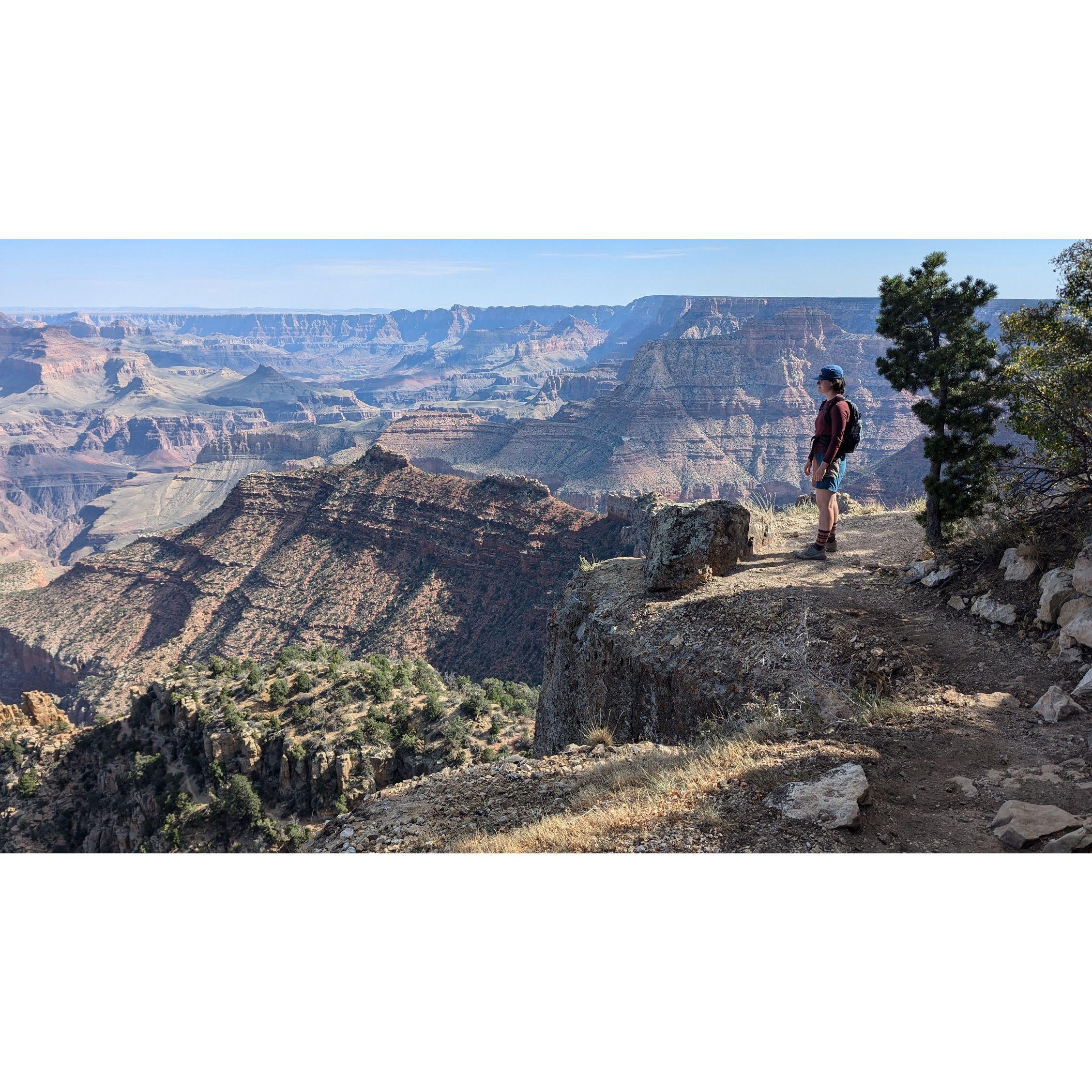 Our road trip finale- The Grand Canyon