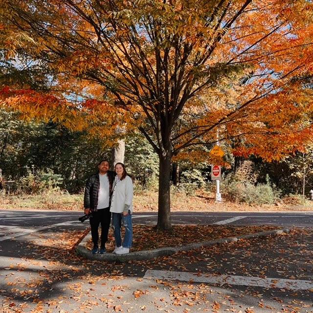Fall in NYC