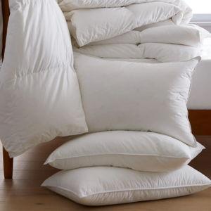 Premium Down Pillow