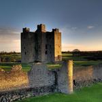 Trim Castle
