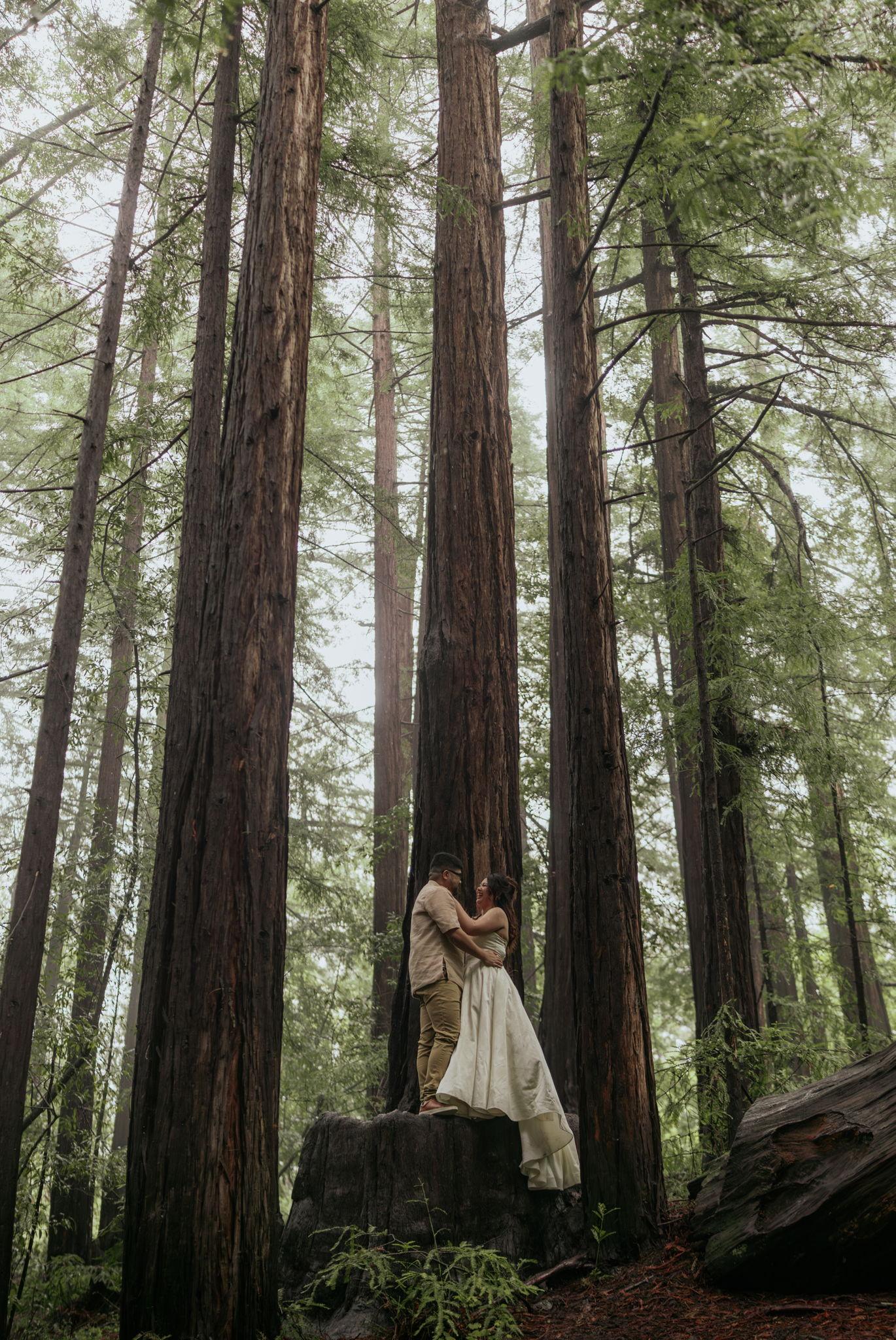 The Wedding Website of Christopher Kuwatani and Michelle Phay
