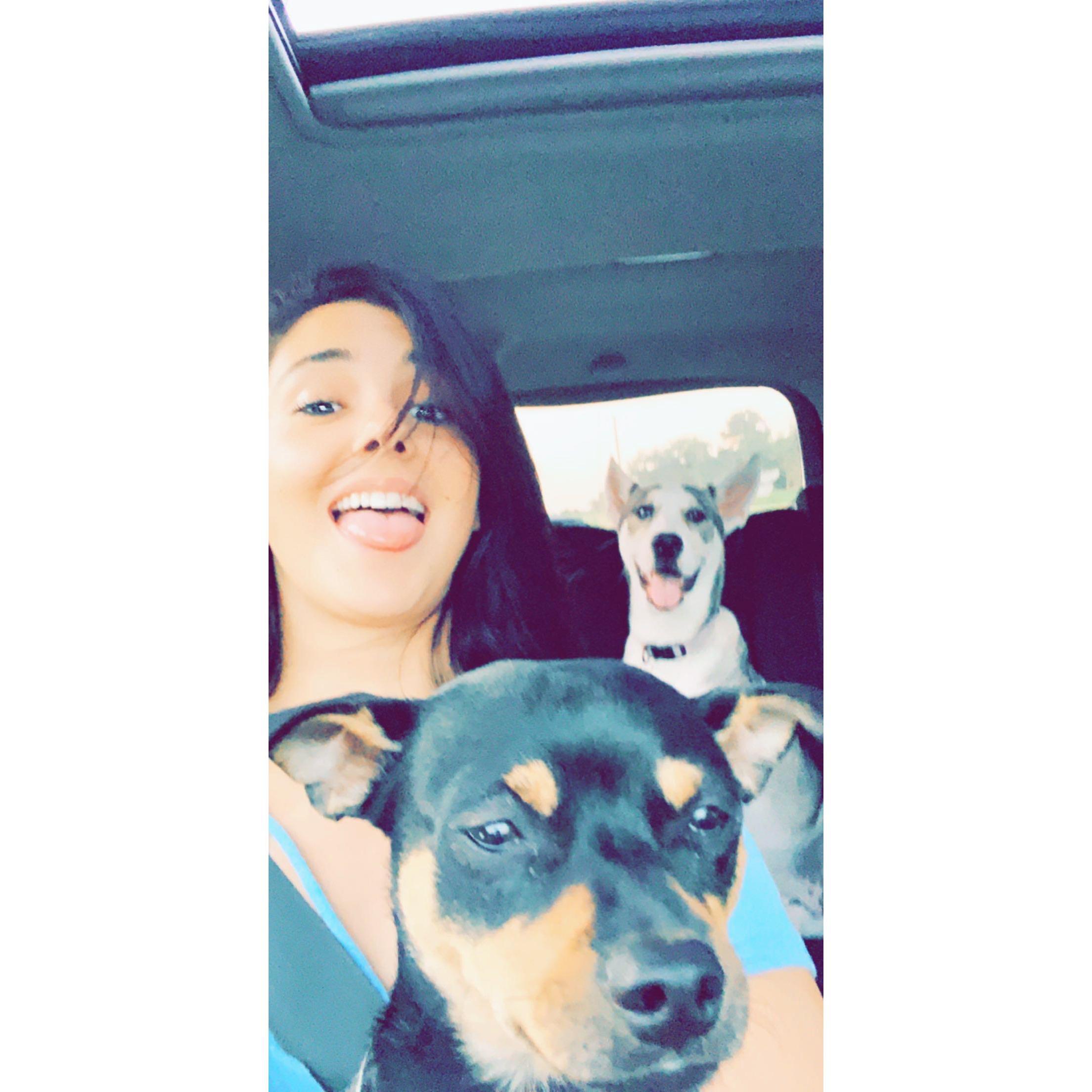 Pancho & Luna riding with momma into town