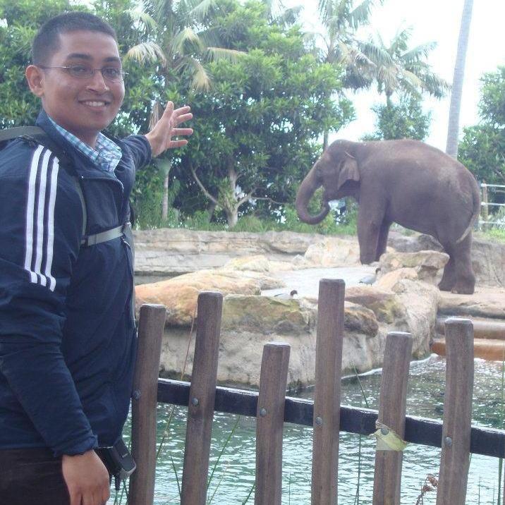 Elephants in Australia!