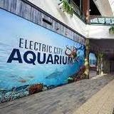 Electric City Aquarium & Reptile Den