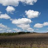 Paso Robles