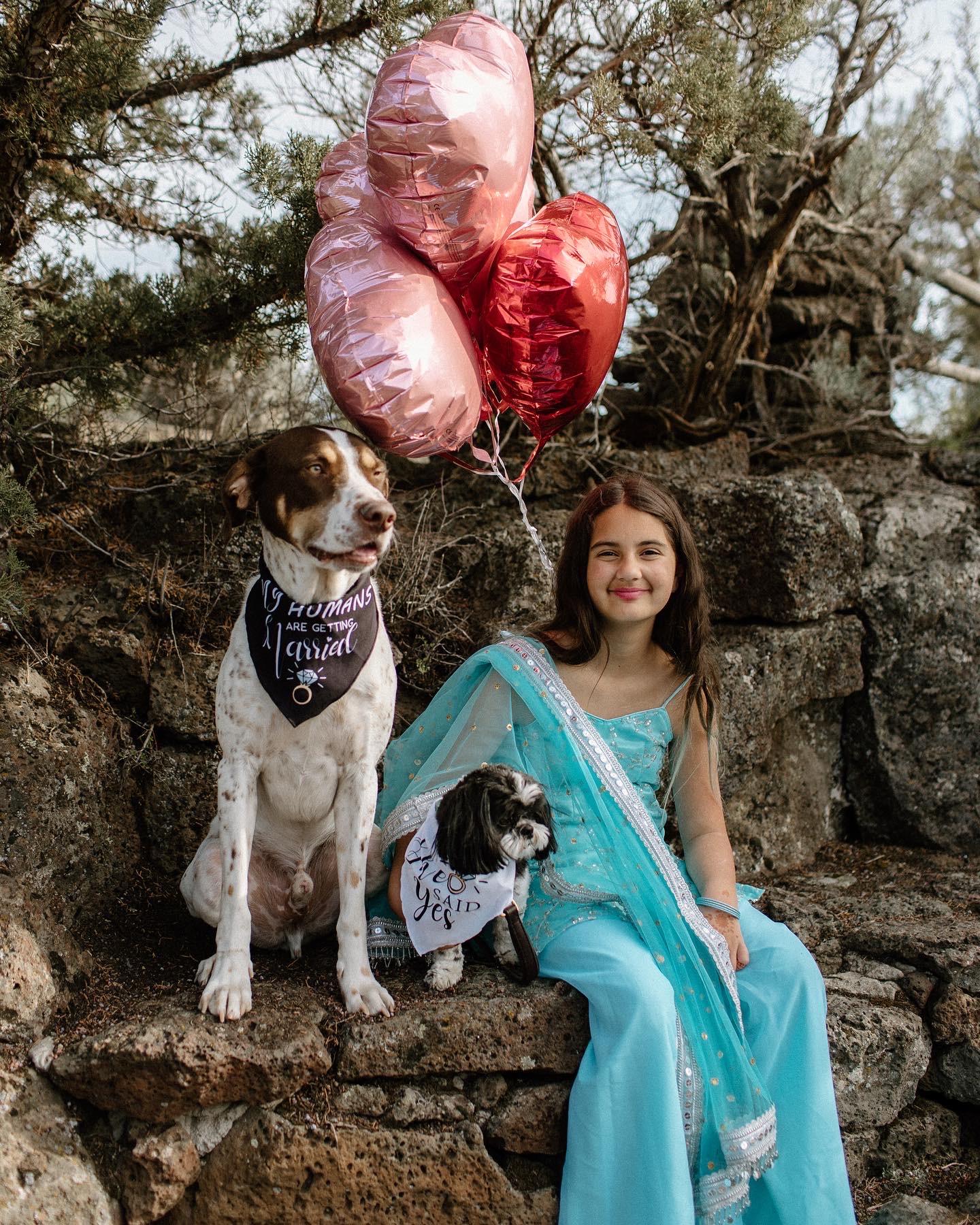 The Wedding Website of Tripti Yadav and Joe O'Connell
