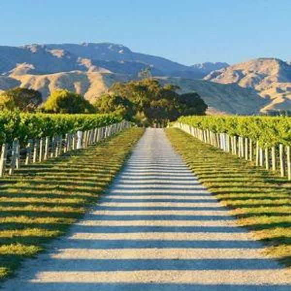 Wine Tasting Tour For Two | Marlborough, New Zealand