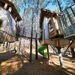 Museum of Life and Science