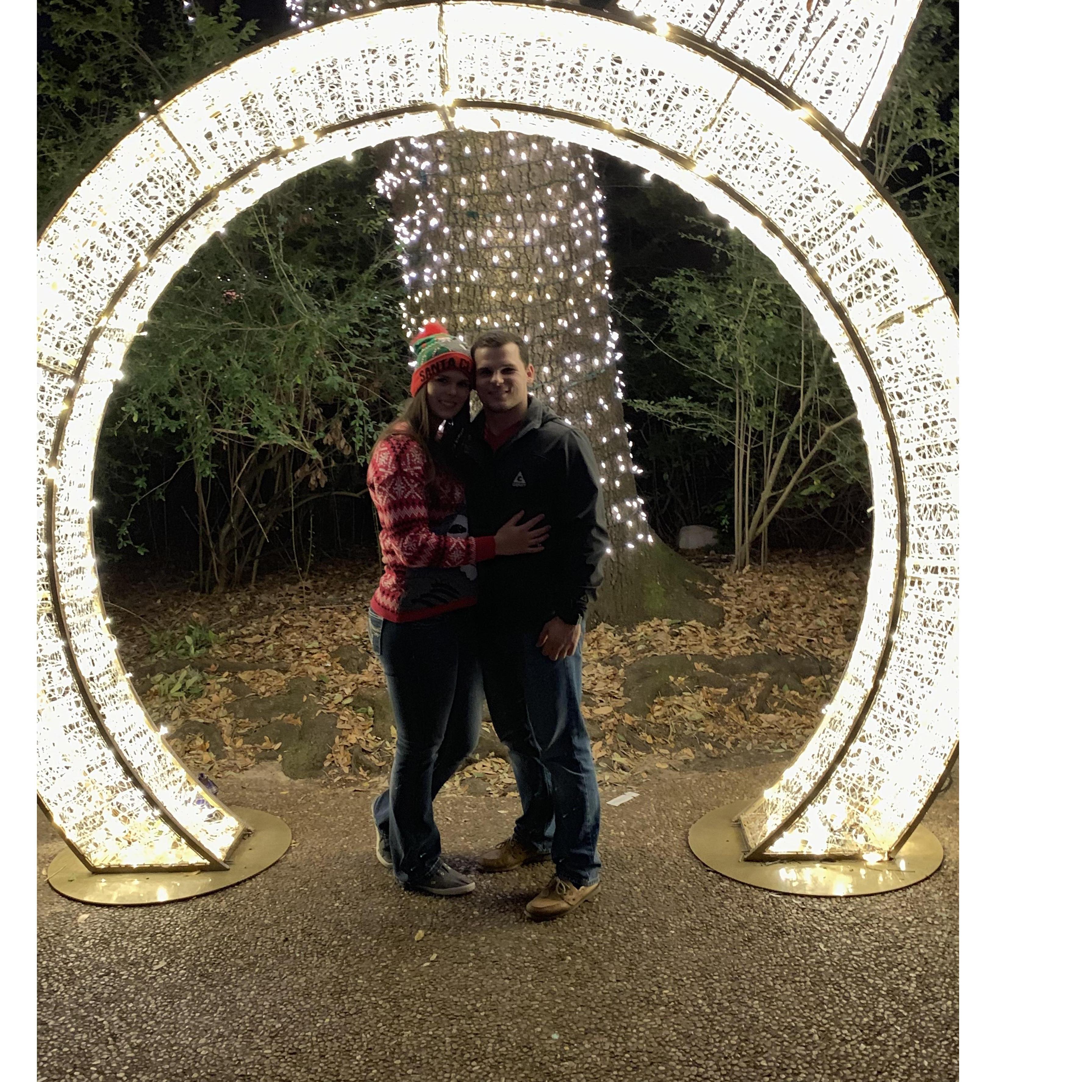 Zoo lights...Our tradition