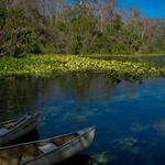 Wekiwa Springs State Park