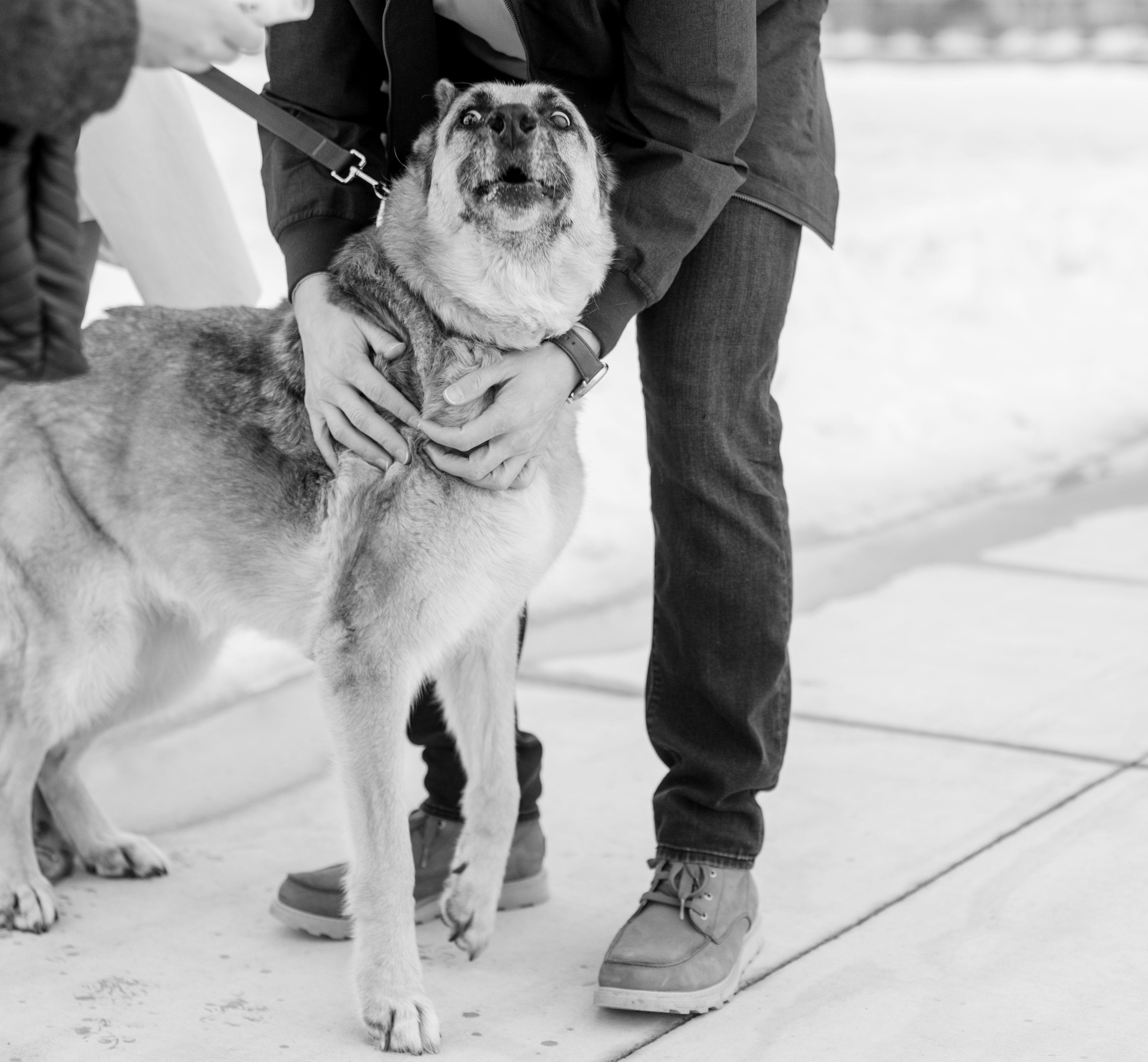 The Wedding Website of Nicole Humbert and Jeff Lough