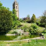 Cabot Tower