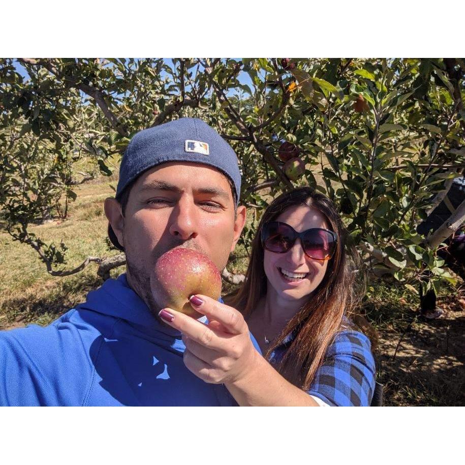 Apple picking adventures 🍎