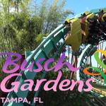 Busch Gardens Tampa Bay