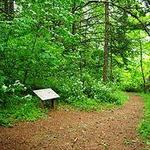 Peavy Arboretum
