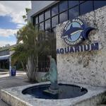 Mote Marine Laboratory & Aquarium