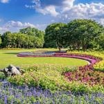 The Dallas Arboretum and Botanical Garden