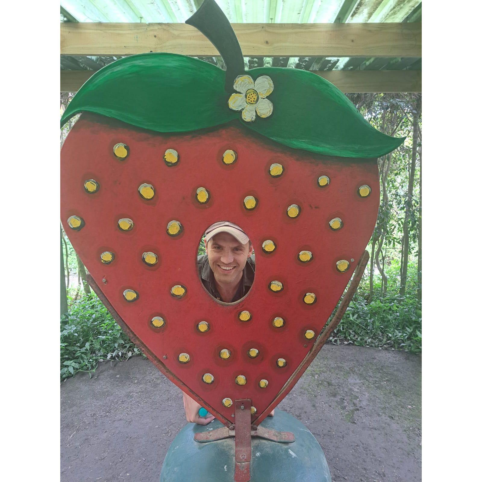 Maze date at Redberry Farm