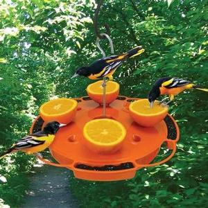 Songbird Essentials SE905 Ultimate Oriole Feeder