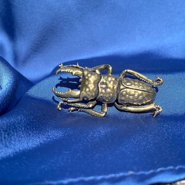 Vintage Brass Stag Beetle