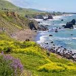 The Coast