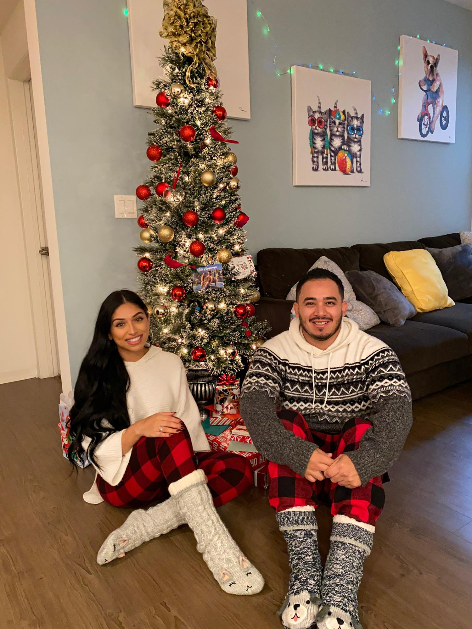 Our first Christmas at our first apartment together! 🎄