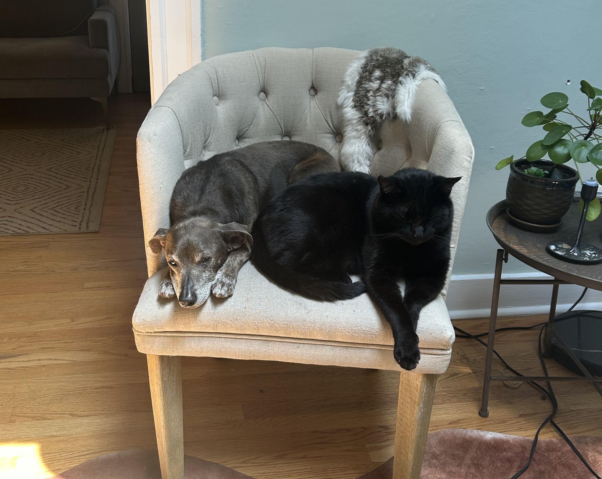 The Wedding Website of Naomi Bravo and Xan Mitkus