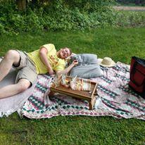 picnic in the park, snacks and champagne