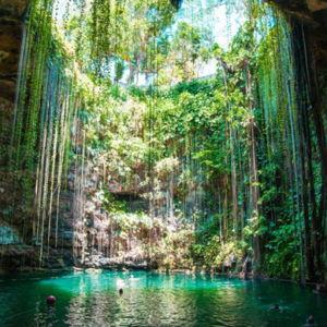 Cenotes and Jungle Tour