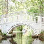 Cypress Gardens