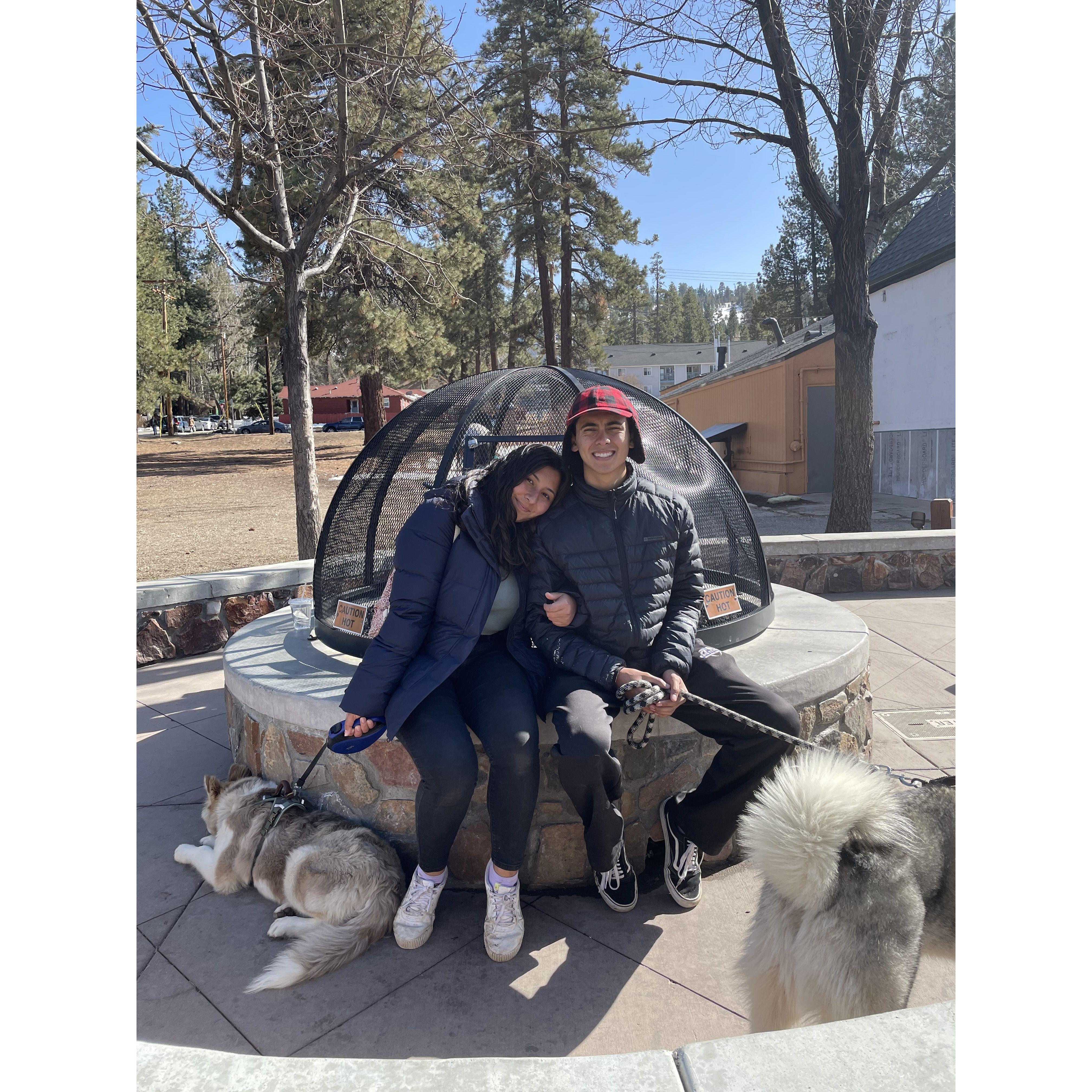 3.20.2021 -First time in Big Bear with the fur babies