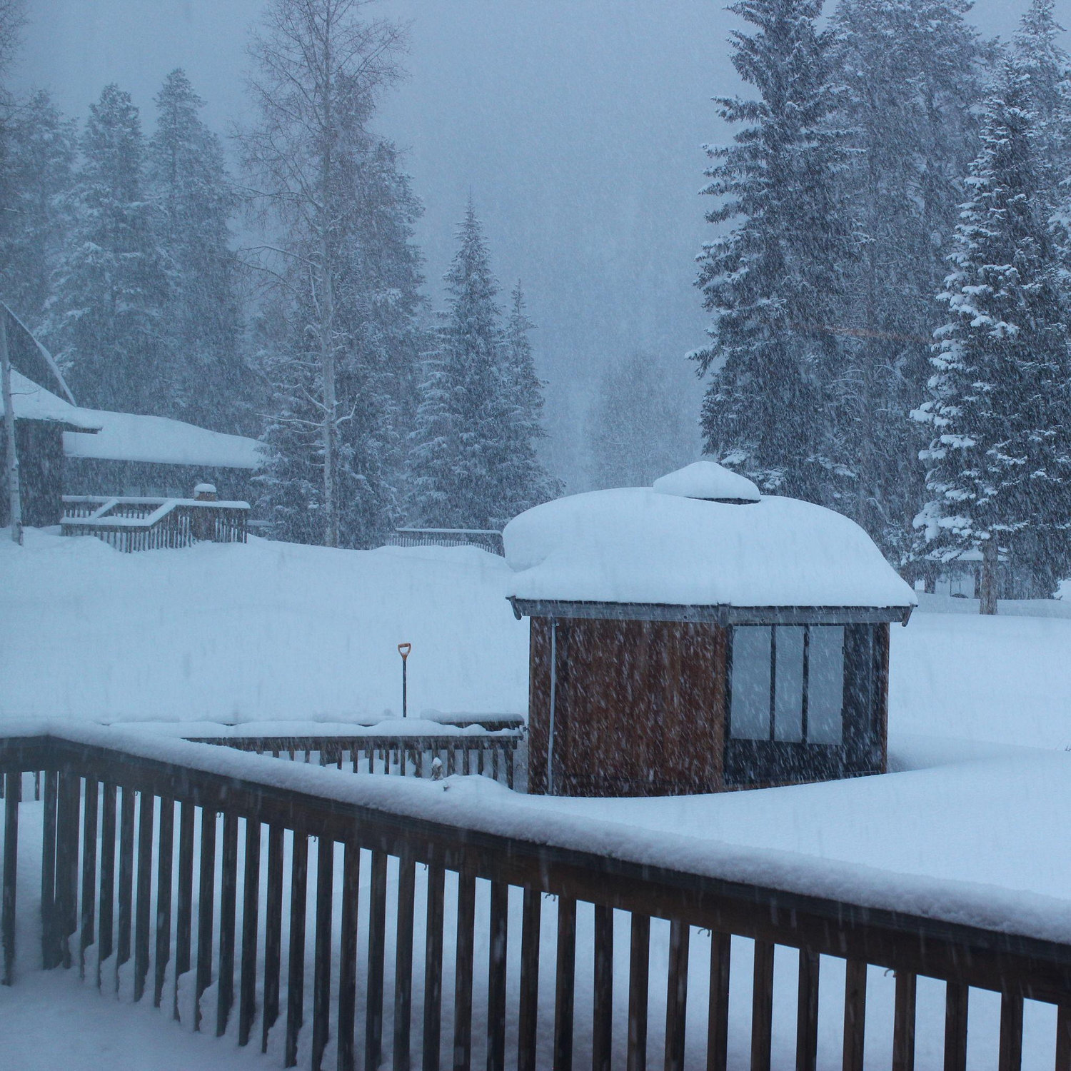 Gray shoveled the walkway to the gazebo, during a snow storm, for the proposal.
