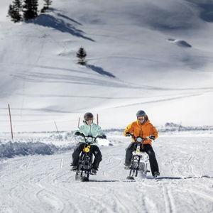 Engelberg: Snowmobile Tour