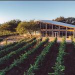 William Chris Vineyards