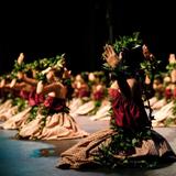 Hula Lessons