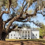 Hampton Plantation