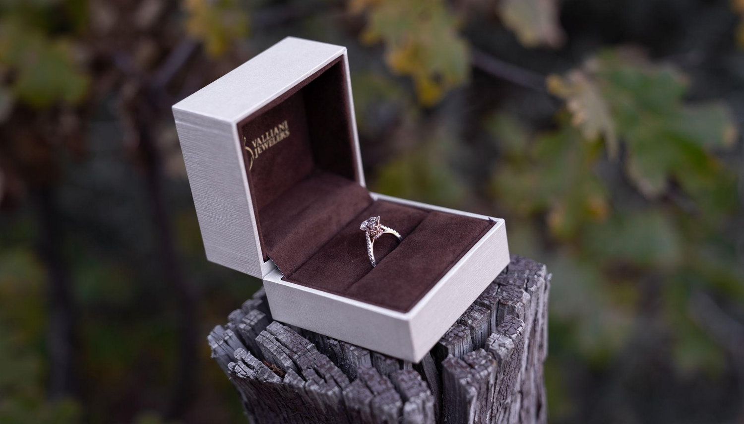 The Wedding Website of Grayson Rivera and Hunter Rosenfeld