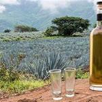 Tequila